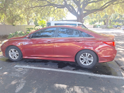 Photo from customer review