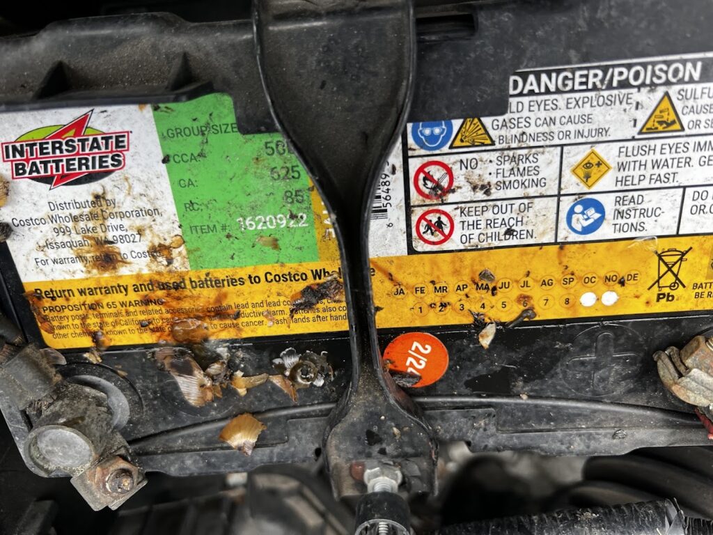 Rodent droppings around the car battery before cleaning